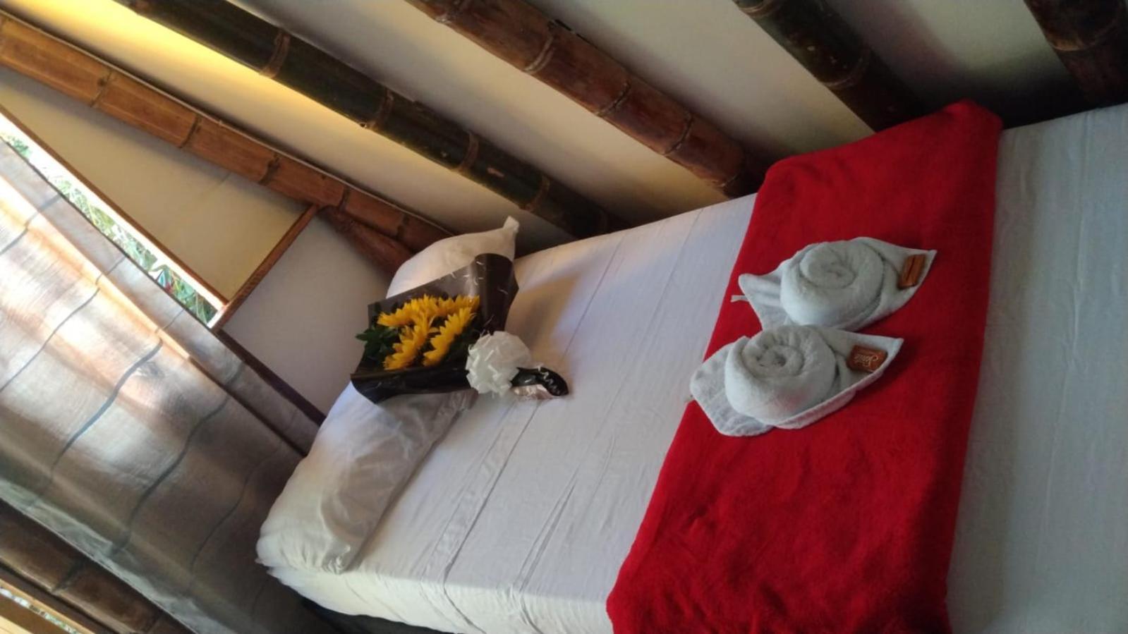 Hostal Bremen Jq Filandia Exterior foto